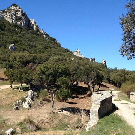 Saint-Rémy-de-Provence Les Lavandins-Gite Magali מראה חיצוני תמונה