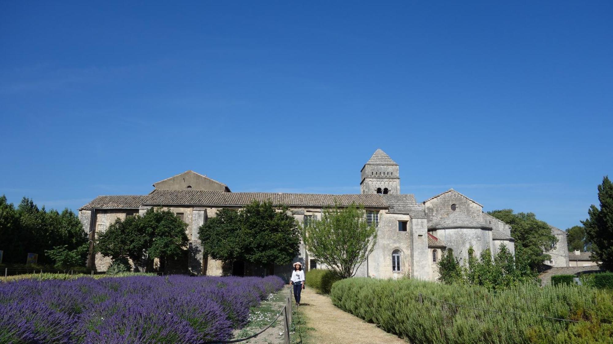 Saint-Rémy-de-Provence Les Lavandins-Gite Magali מראה חיצוני תמונה