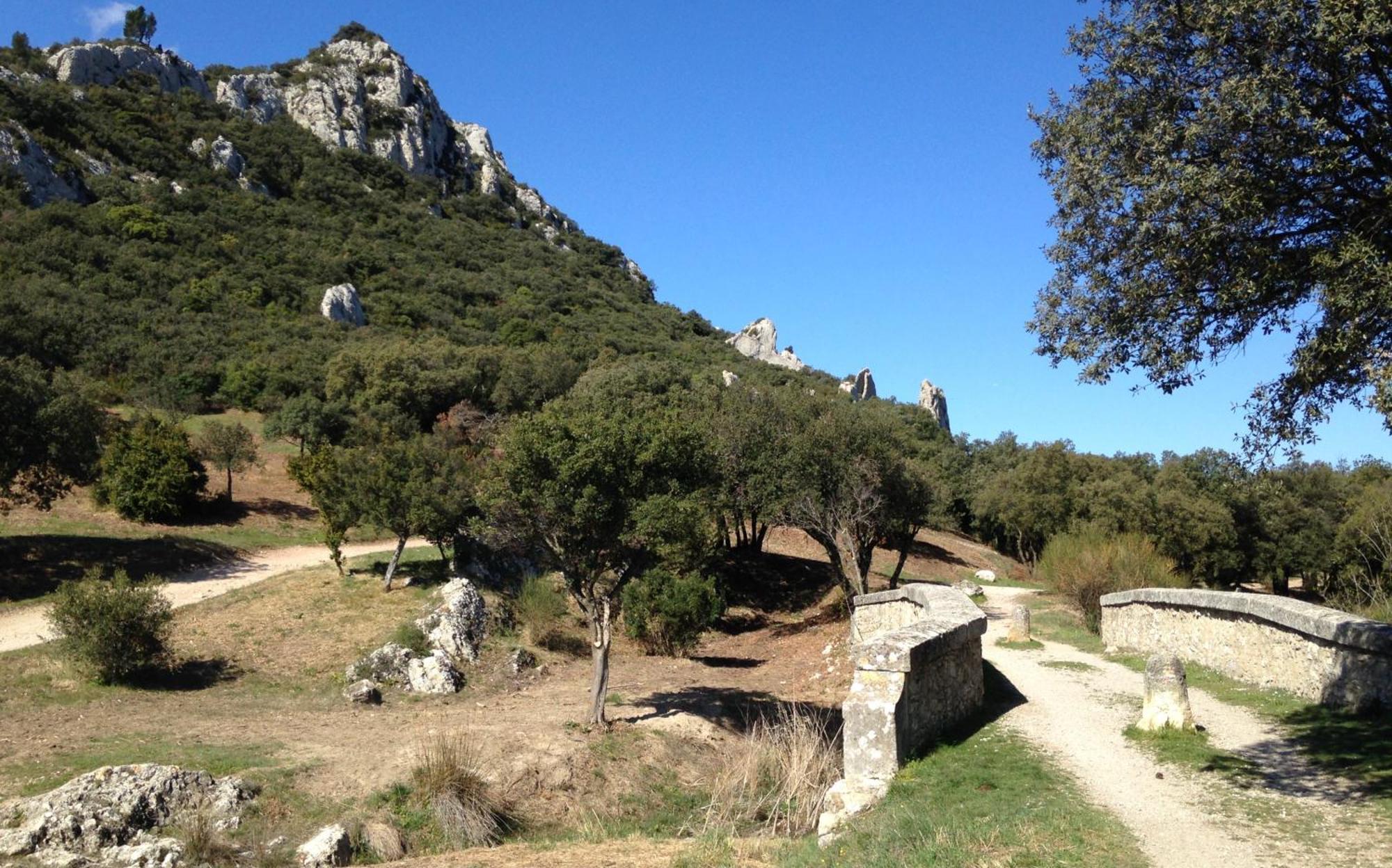 Saint-Rémy-de-Provence Les Lavandins-Gite Magali מראה חיצוני תמונה