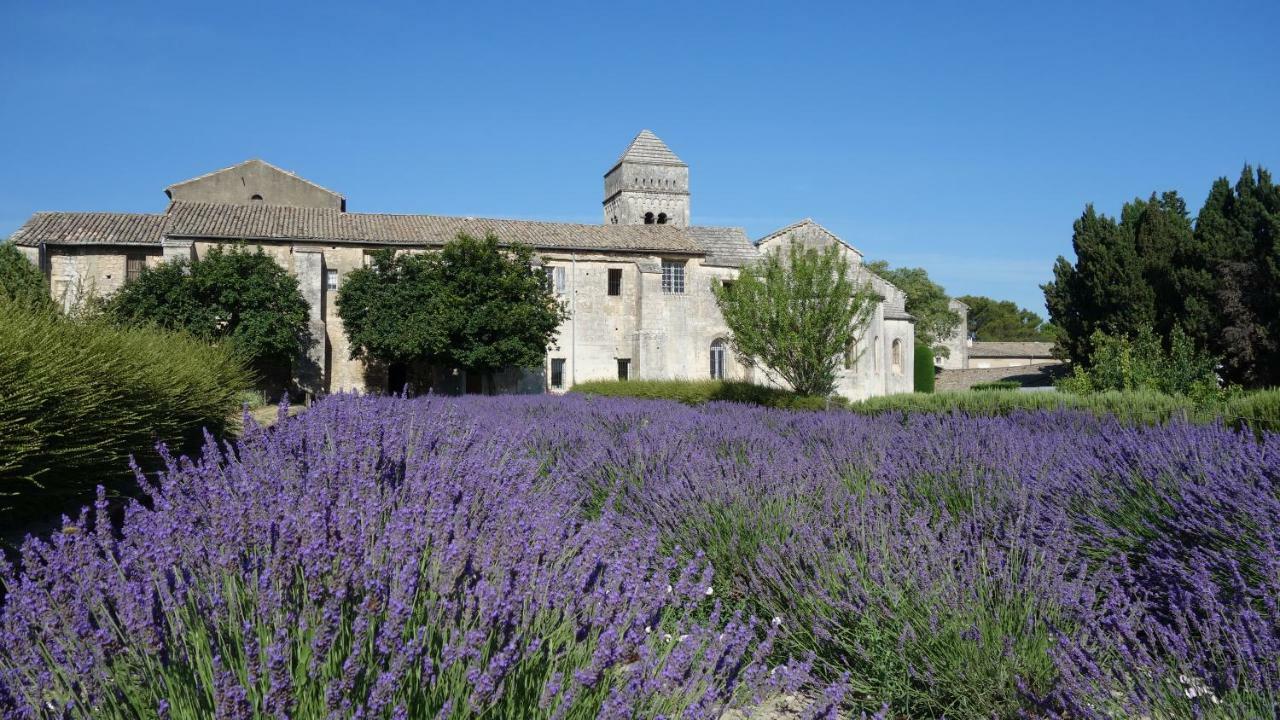 Saint-Rémy-de-Provence Les Lavandins-Gite Magali מראה חיצוני תמונה
