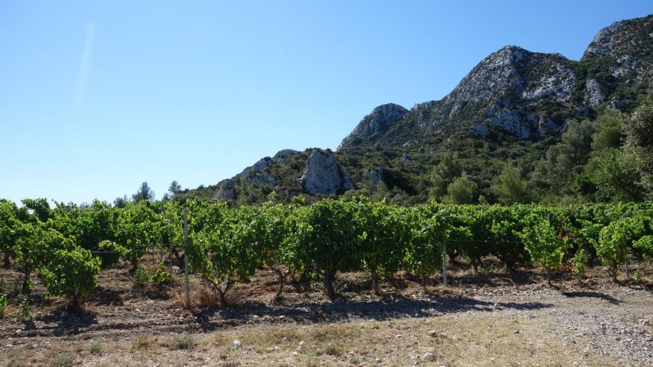 Saint-Rémy-de-Provence Les Lavandins-Gite Magali מראה חיצוני תמונה