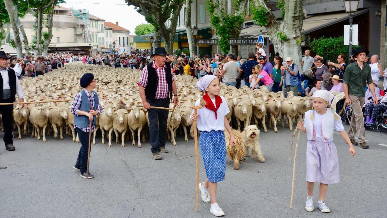 Saint-Rémy-de-Provence Les Lavandins-Gite Magali מראה חיצוני תמונה