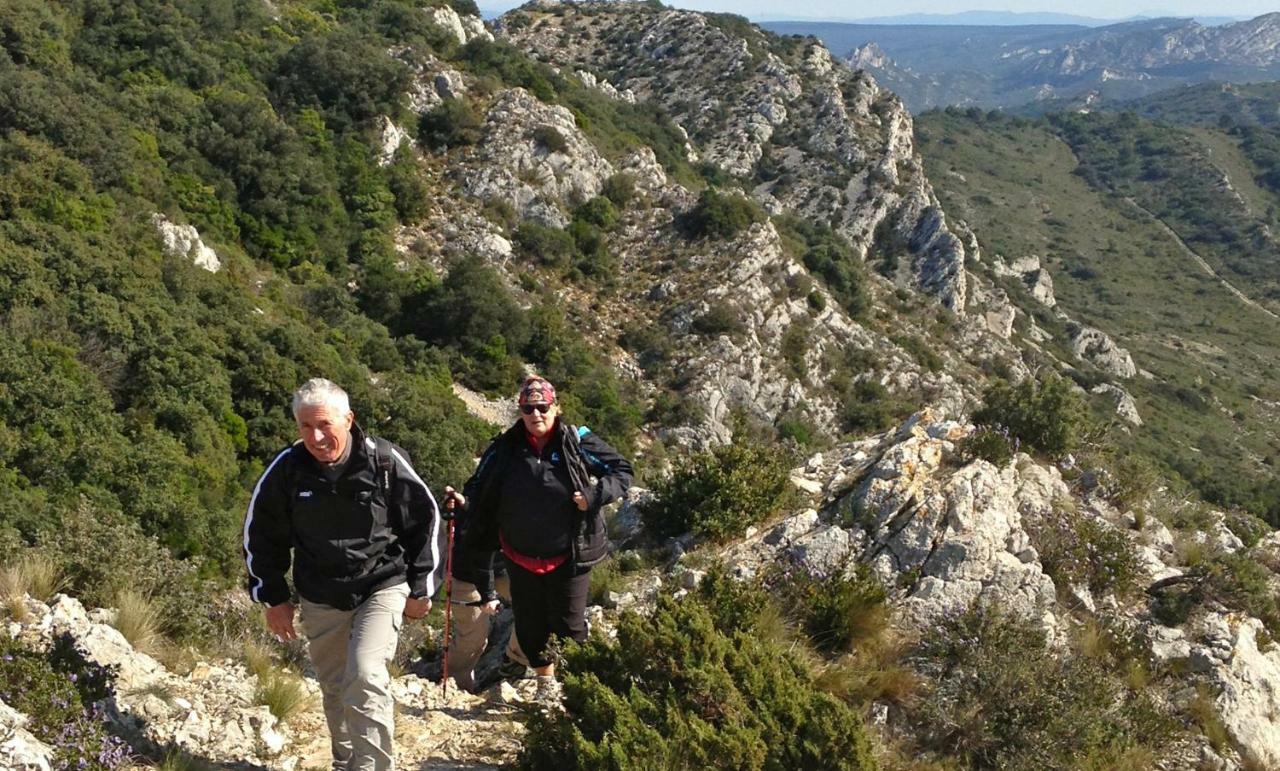 Saint-Rémy-de-Provence Les Lavandins-Gite Magali מראה חיצוני תמונה